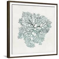 Teal Coral I-Aimee Wilson-Framed Premium Giclee Print