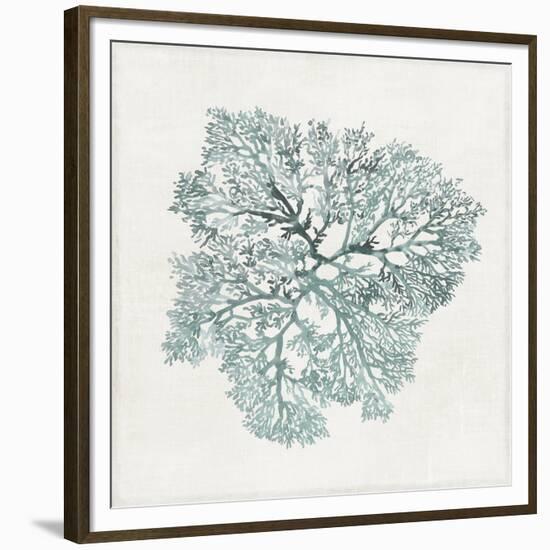 Teal Coral I-Aimee Wilson-Framed Premium Giclee Print