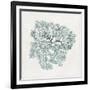 Teal Coral I-Aimee Wilson-Framed Premium Giclee Print