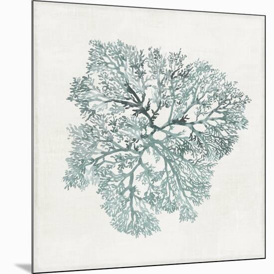 Teal Coral I-Aimee Wilson-Mounted Premium Giclee Print