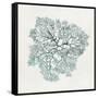 Teal Coral I-Aimee Wilson-Framed Stretched Canvas