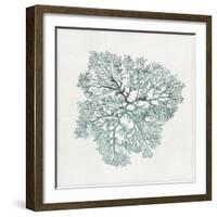 Teal Coral I-Aimee Wilson-Framed Art Print