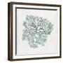 Teal Coral I-Aimee Wilson-Framed Art Print