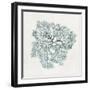 Teal Coral I-Aimee Wilson-Framed Art Print