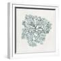Teal Coral I-Aimee Wilson-Framed Art Print