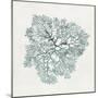 Teal Coral I-Aimee Wilson-Mounted Art Print