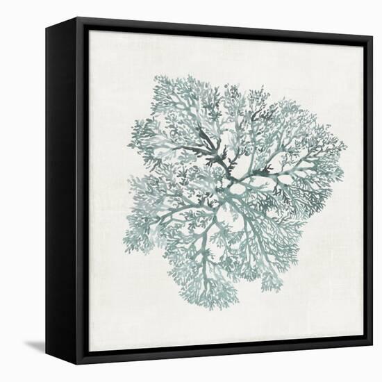 Teal Coral I-Aimee Wilson-Framed Stretched Canvas