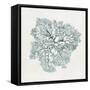 Teal Coral I-Aimee Wilson-Framed Stretched Canvas