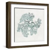 Teal Coral II-Aimee Wilson-Framed Art Print