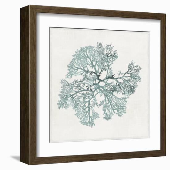 Teal Coral II-Aimee Wilson-Framed Art Print