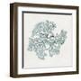 Teal Coral II-Aimee Wilson-Framed Art Print