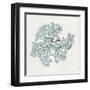 Teal Coral II-Aimee Wilson-Framed Art Print