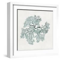 Teal Coral II-Aimee Wilson-Framed Art Print