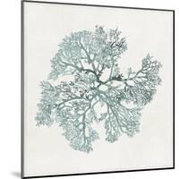 Teal Coral II-Aimee Wilson-Mounted Art Print