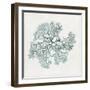 Teal Coral II-Aimee Wilson-Framed Premium Giclee Print