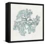 Teal Coral II-Aimee Wilson-Framed Stretched Canvas