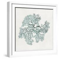 Teal Coral II-Aimee Wilson-Framed Art Print