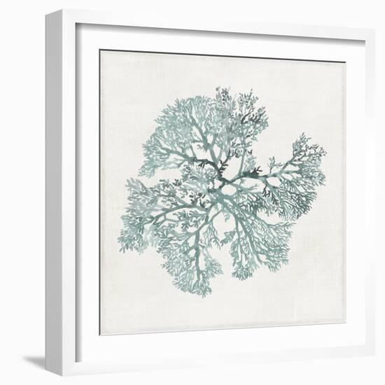 Teal Coral II-Aimee Wilson-Framed Art Print