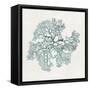 Teal Coral II-Aimee Wilson-Framed Stretched Canvas