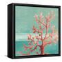 Teal Coral Reef I-Patricia Pinto-Framed Stretched Canvas