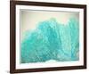 Teal Coral-null-Framed Art Print