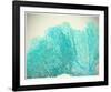 Teal Coral-null-Framed Art Print