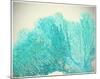 Teal Coral-null-Mounted Art Print