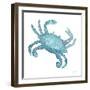 Teal Crab-Patti Bishop-Framed Art Print