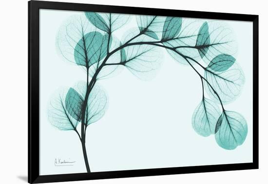 Teal Eucalyptus-Albert Koetsier-Framed Art Print