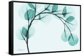 Teal Eucalyptus-Albert Koetsier-Framed Stretched Canvas