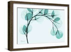 Teal Eucalyptus-Albert Koetsier-Framed Premium Giclee Print