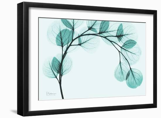 Teal Eucalyptus-Albert Koetsier-Framed Premium Giclee Print