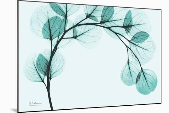 Teal Eucalyptus-Albert Koetsier-Mounted Art Print