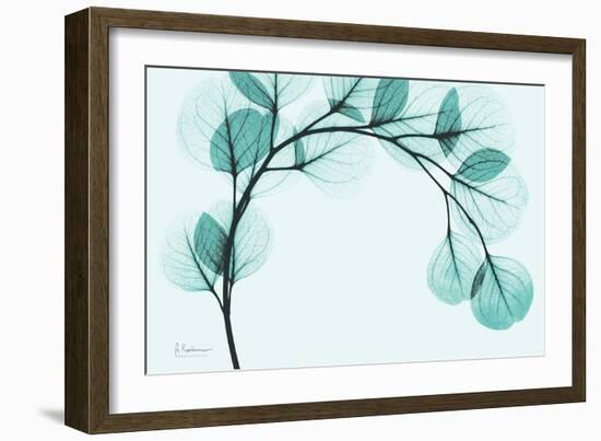 Teal Eucalyptus-Albert Koetsier-Framed Art Print