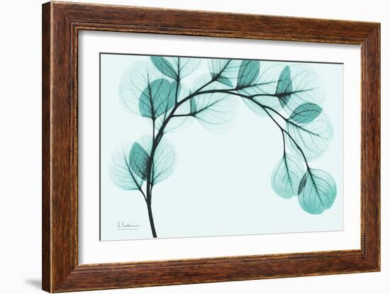 Teal Eucalyptus-Albert Koetsier-Framed Art Print