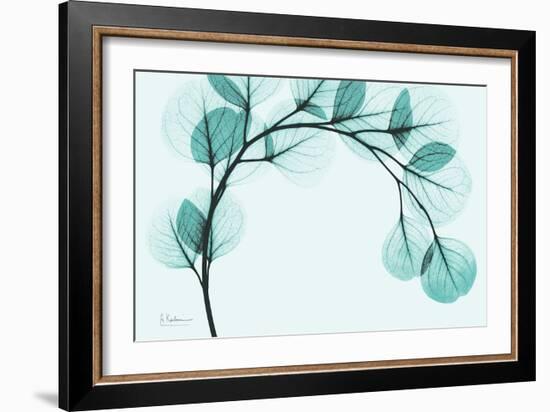 Teal Eucalyptus-Albert Koetsier-Framed Art Print