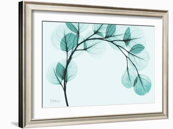 Teal Eucalyptus-Albert Koetsier-Framed Art Print