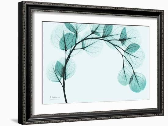 Teal Eucalyptus-Albert Koetsier-Framed Art Print