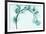 Teal Eucalyptus-Albert Koetsier-Framed Art Print