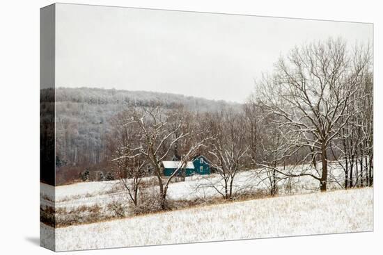 Teal Farmhouse-Brooke T. Ryan-Stretched Canvas