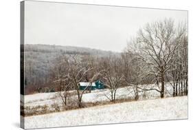 Teal Farmhouse-Brooke T. Ryan-Stretched Canvas