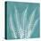 Teal Fern Xray-Albert Koetsier-Stretched Canvas