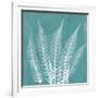 Teal Fern Xray-Albert Koetsier-Framed Premium Giclee Print