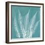 Teal Fern Xray-Albert Koetsier-Framed Art Print