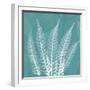 Teal Fern Xray-Albert Koetsier-Framed Art Print