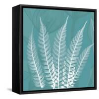 Teal Fern Xray-Albert Koetsier-Framed Stretched Canvas