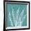 Teal Fern Xray-Albert Koetsier-Framed Art Print