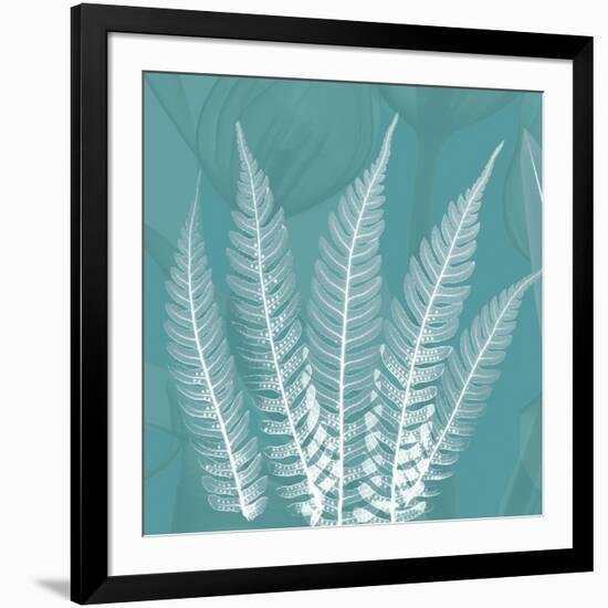 Teal Fern Xray-Albert Koetsier-Framed Art Print