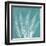 Teal Fern Xray-Albert Koetsier-Framed Art Print