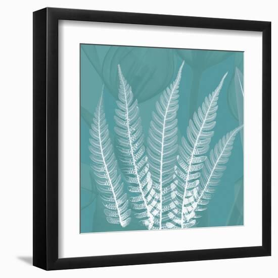 Teal Fern Xray-Albert Koetsier-Framed Art Print